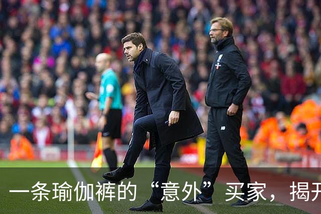 一条瑜伽裤的“意外”买家，揭开阿里妈妈双11新增量入口