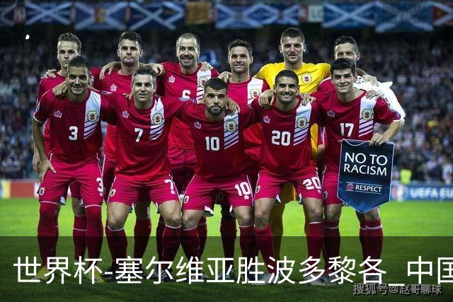 世界杯-塞尔维亚胜波多黎各 中国仍存出线可能