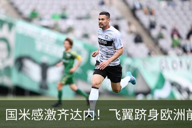 国米感激齐达内！飞翼跻身欧洲前十 自尊受挫的领袖冲出蓝黑极速