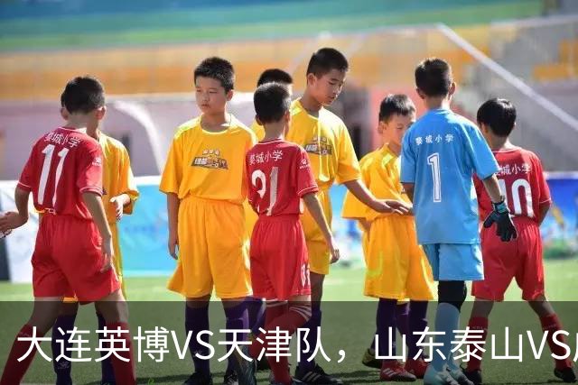 大连英博VS天津队，山东泰山VS成都蓉城，宋凯该去哪座城市颁奖？