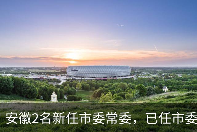 安徽2名新任市委常委，已任市委组织部部长
