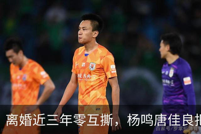 离婚近三年零互撕，杨鸣唐佳良把"不再回应"做成了防火墙