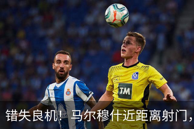 错失良机！马尔穆什近距离射门，太正了被扑出