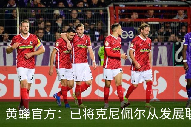 黄蜂官方：已将克尼佩尔从发展联盟召回 但他明日仍然因伤缺阵